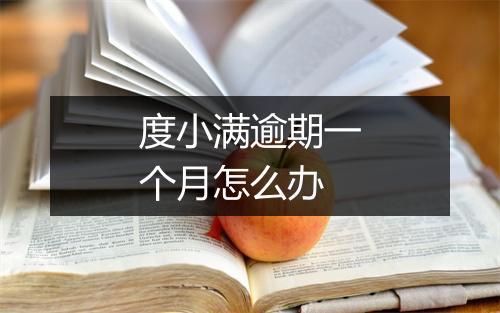 度小满逾期一个月怎么办