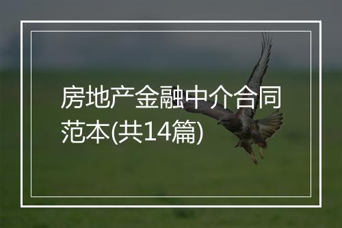 房地产金融中介合同范本(共14篇)