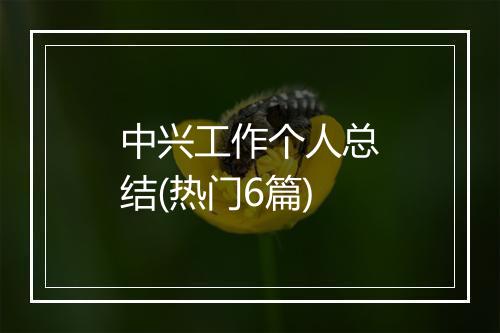 中兴工作个人总结(热门6篇)