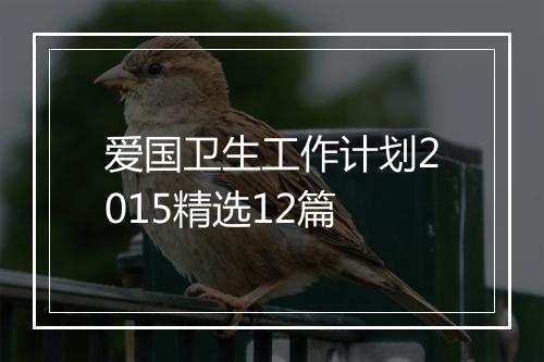 爱国卫生工作计划2015精选12篇