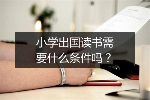 小学出国读书需要什么条件吗？