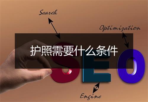 护照需要什么条件