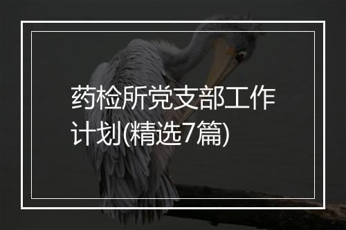 药检所党支部工作计划(精选7篇)
