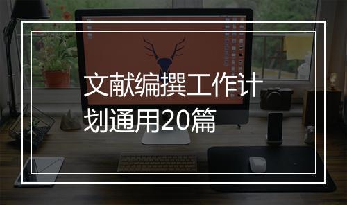 文献编撰工作计划通用20篇