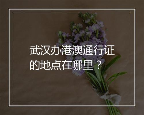 武汉办港澳通行证的地点在哪里？