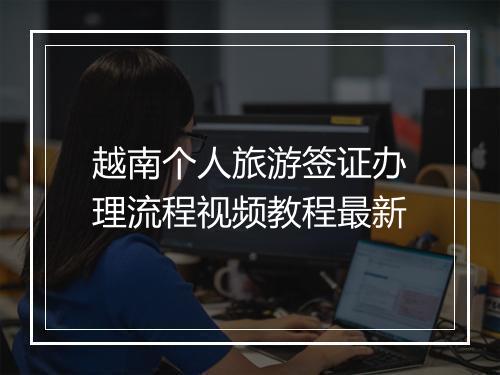 越南个人旅游签证办理流程视频教程最新