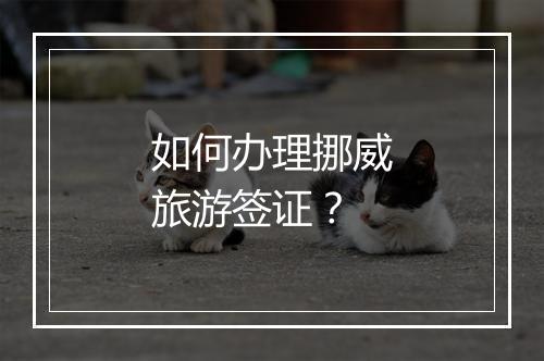 如何办理挪威旅游签证？