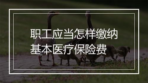 职工应当怎样缴纳基本医疗保险费