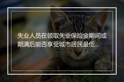 失业人员在领取失业保险金期间或期满后能否享受城市居民最低生活保障待遇?