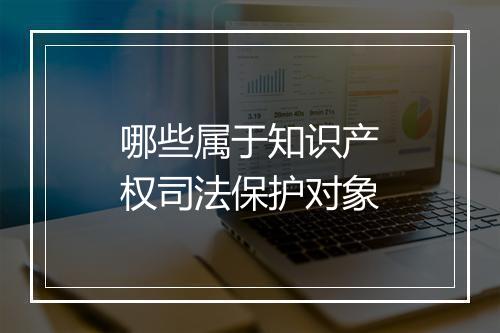哪些属于知识产权司法保护对象