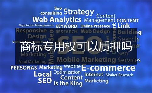 商标专用权可以质押吗