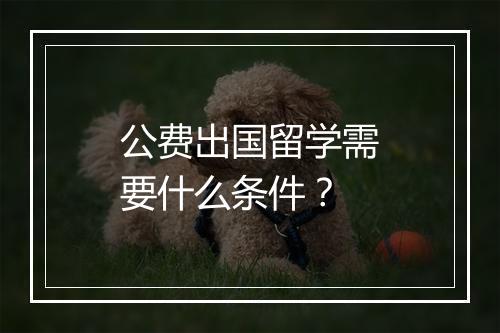 公费出国留学需要什么条件？