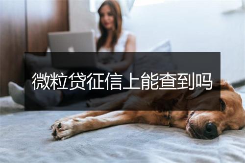 微粒贷征信上能查到吗