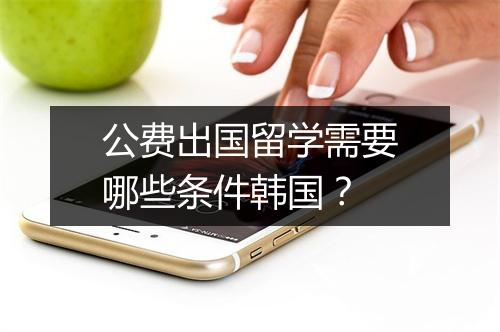 公费出国留学需要哪些条件韩国？