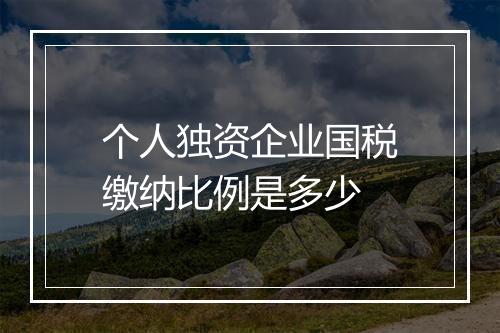 个人独资企业国税缴纳比例是多少