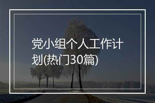 党小组个人工作计划(热门30篇)