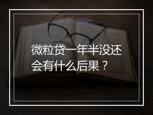 微粒贷一年半没还会有什么后果？