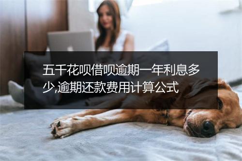五千花呗借呗逾期一年利息多少,逾期还款费用计算公式