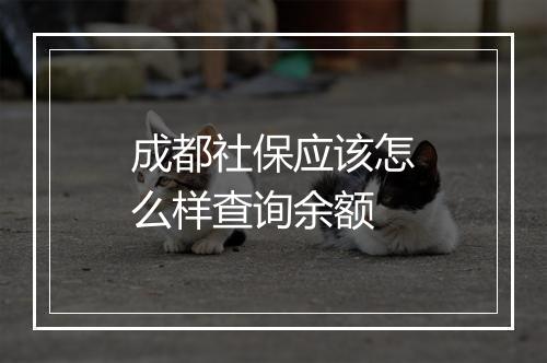 成都社保应该怎么样查询余额