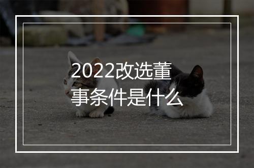 2022改选董事条件是什么