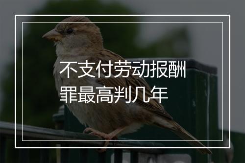不支付劳动报酬罪最高判几年