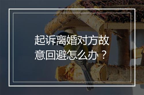起诉离婚对方故意回避怎么办？