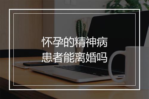 怀孕的精神病患者能离婚吗