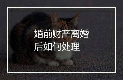 婚前财产离婚后如何处理