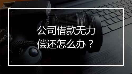 公司借款无力偿还怎么办？
