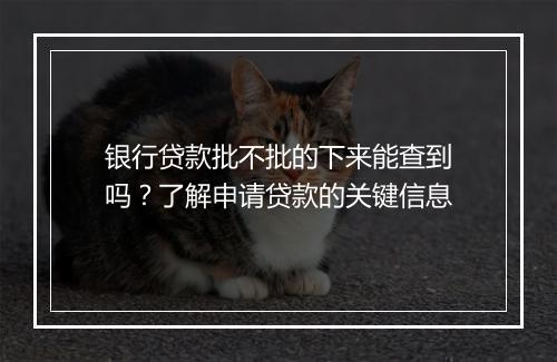 银行贷款批不批的下来能查到吗？了解申请贷款的关键信息