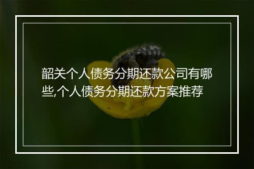 韶关个人债务分期还款公司有哪些,个人债务分期还款方案推荐