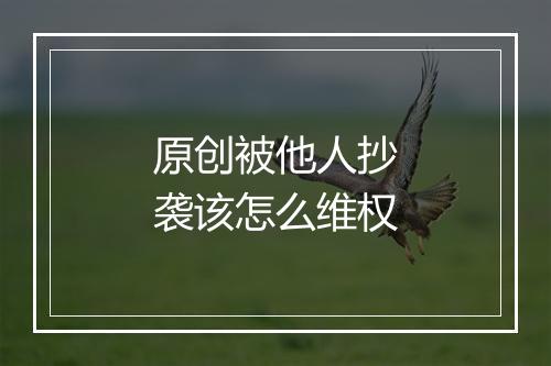 原创被他人抄袭该怎么维权