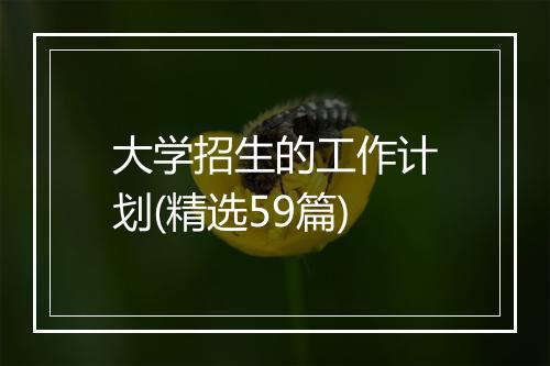 大学招生的工作计划(精选59篇)