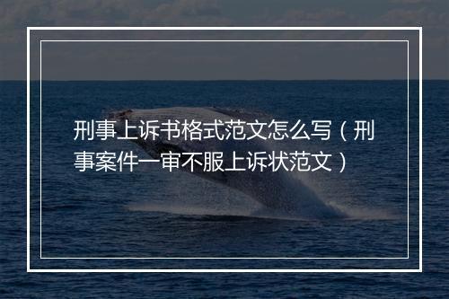 刑事上诉书格式范文怎么写（刑事案件一审不服上诉状范文）