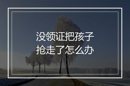 没领证把孩子抢走了怎么办