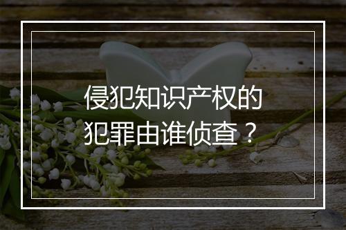 侵犯知识产权的犯罪由谁侦查？