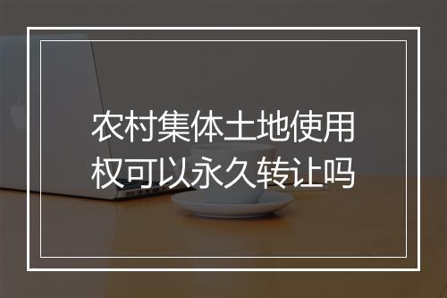 农村集体土地使用权可以永久转让吗