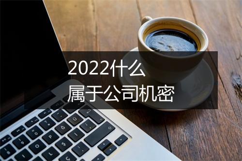 2022什么属于公司机密