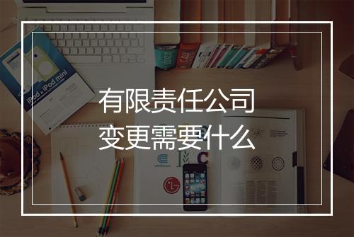 有限责任公司变更需要什么