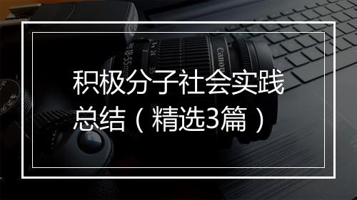 积极分子社会实践总结（精选3篇）