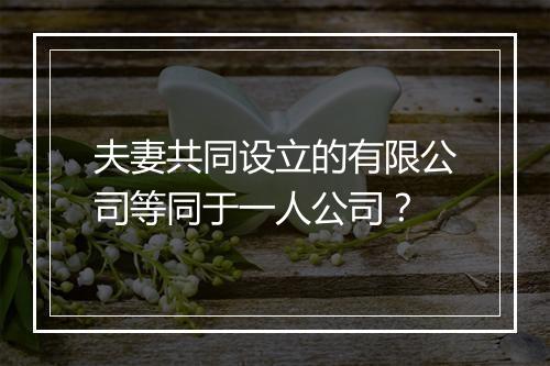 夫妻共同设立的有限公司等同于一人公司？