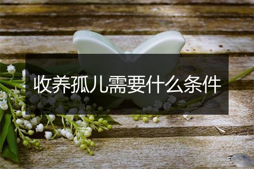 收养孤儿需要什么条件