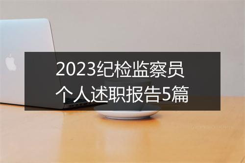2023纪检监察员个人述职报告5篇
