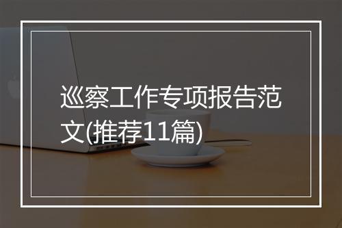 巡察工作专项报告范文(推荐11篇)