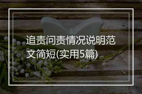 追责问责情况说明范文简短(实用5篇)
