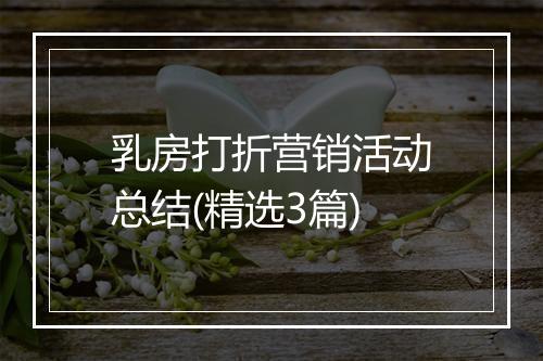 乳房打折营销活动总结(精选3篇)