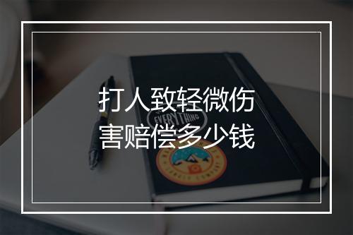 打人致轻微伤害赔偿多少钱