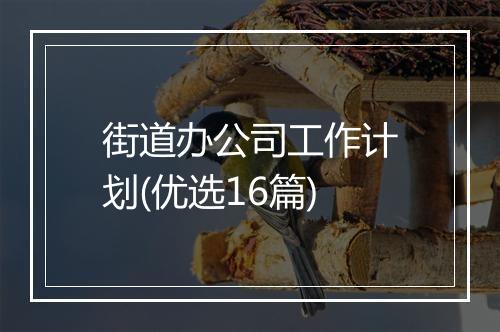 街道办公司工作计划(优选16篇)