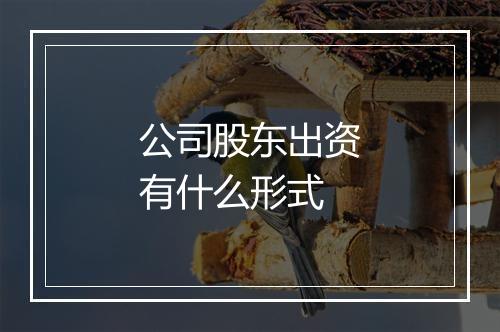 公司股东出资有什么形式