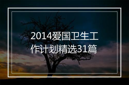 2014爱国卫生工作计划精选31篇